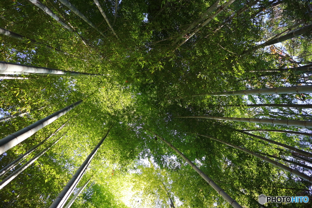 鎌倉散策