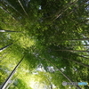 鎌倉散策
