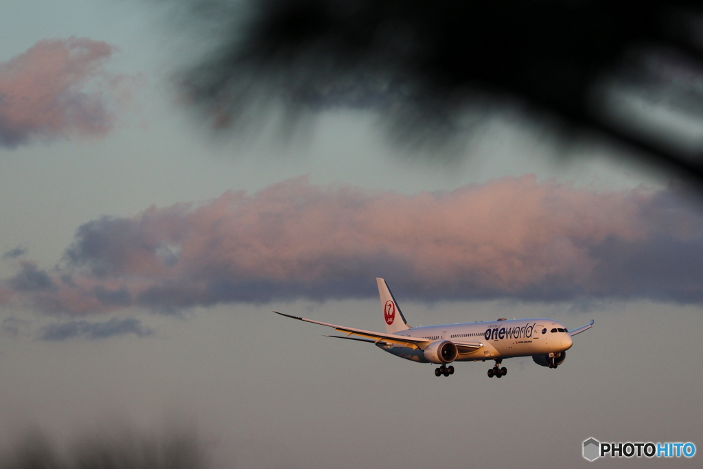 羽田空港