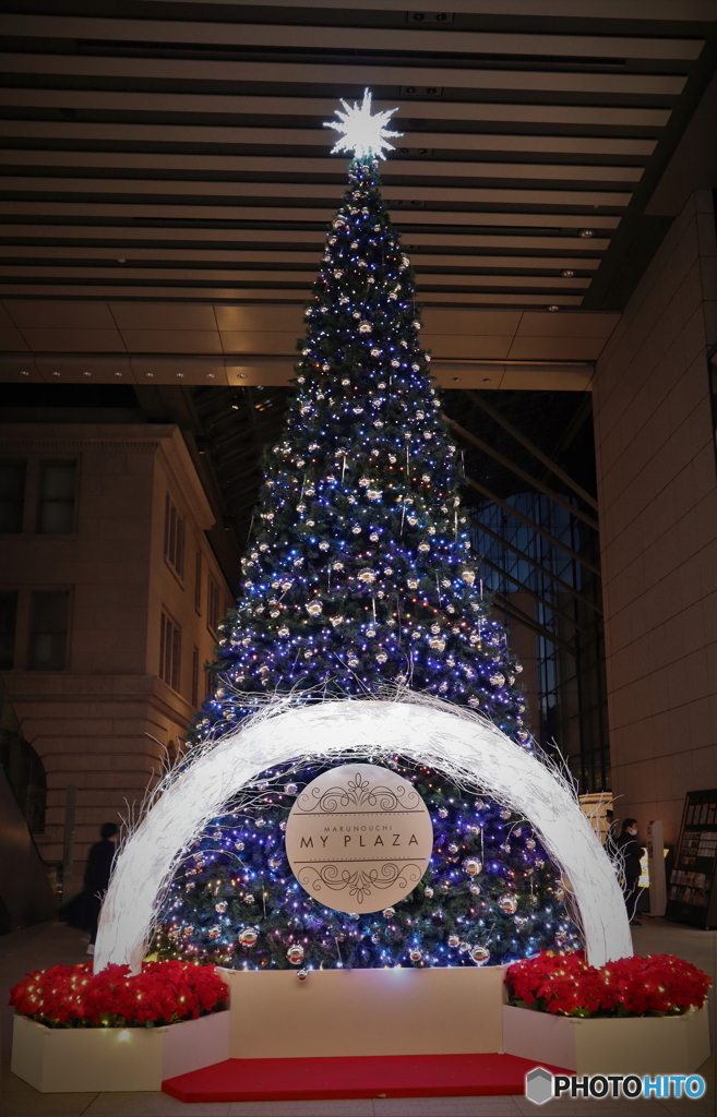 クリスマスツリー