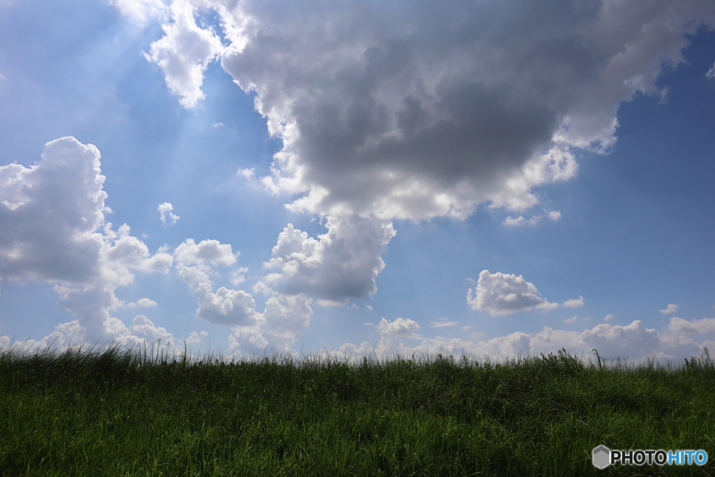 夏の空