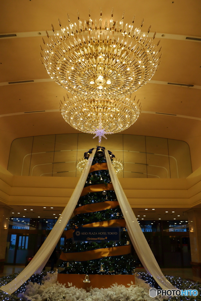 クリスマスツリー
