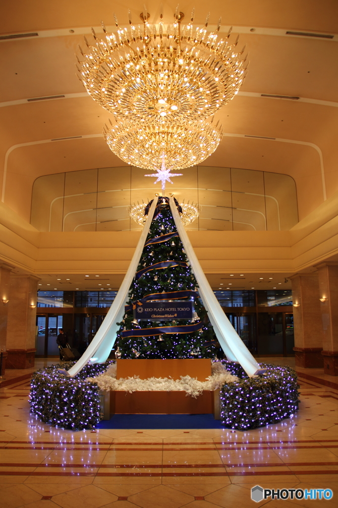 クリスマスツリー