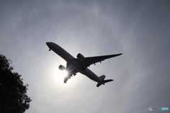 羽田空港