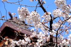 靖国神社
