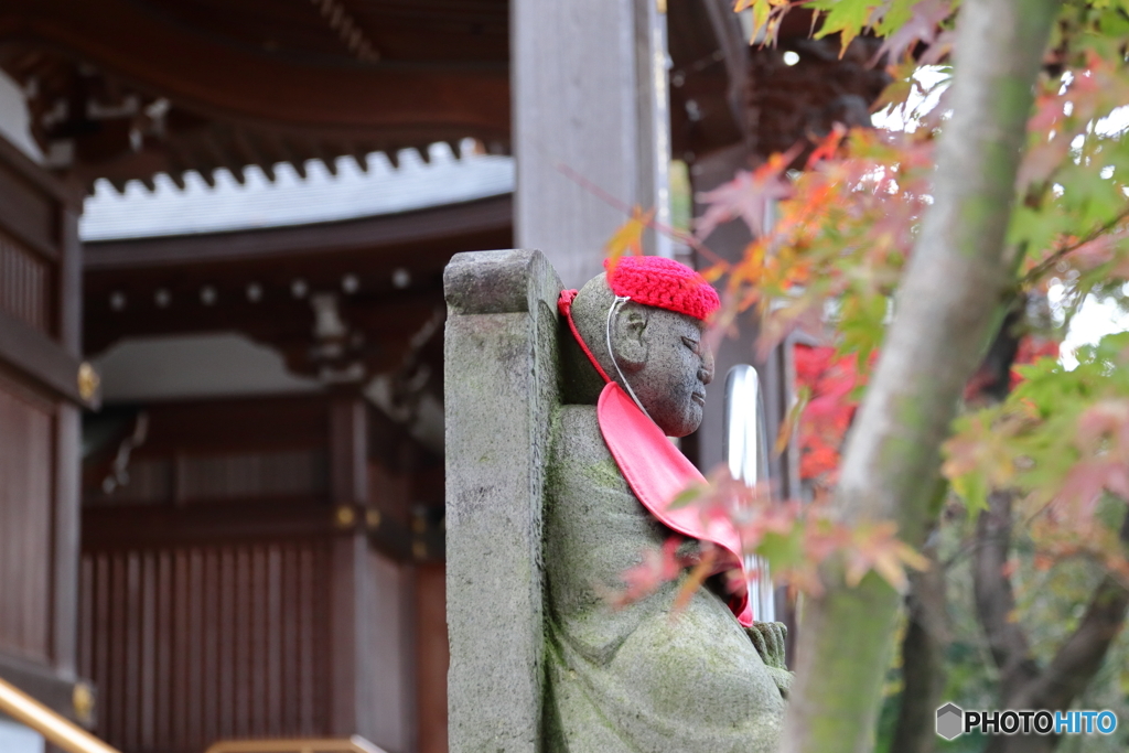 紅葉