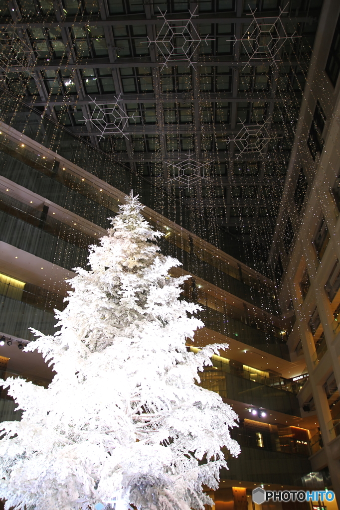 クリスマスツリー