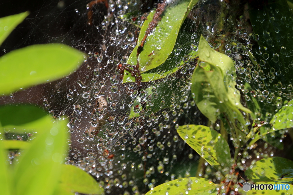 水滴