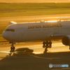 旅客機