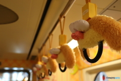 東京ディズニーシー