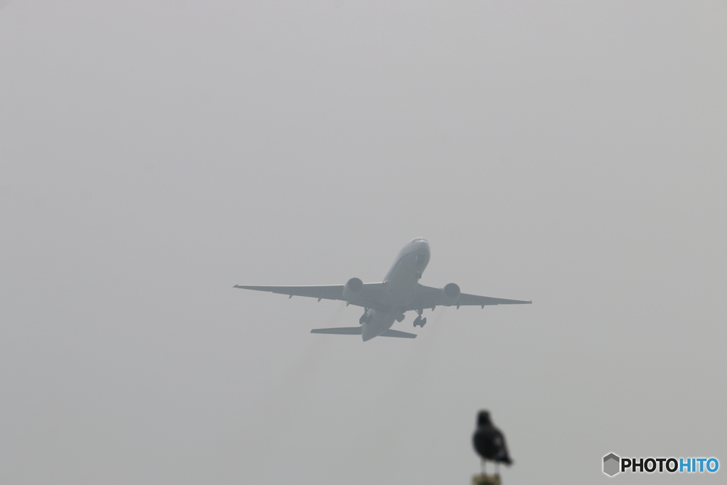 旅客機