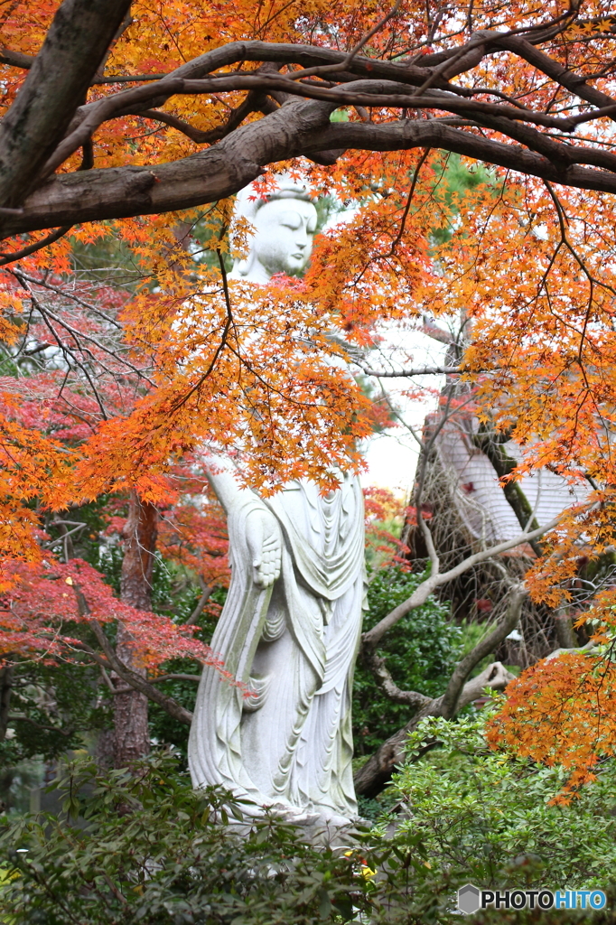 高幡不動尊