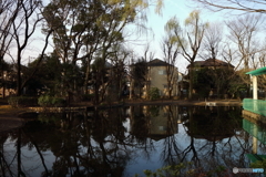 街の公園