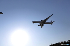 羽田空港