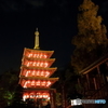 高幡不動尊