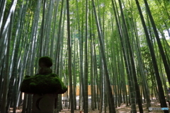 鎌倉散策