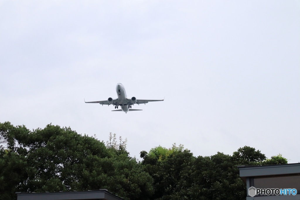 羽田空港