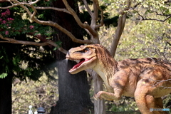 郷土の森公園