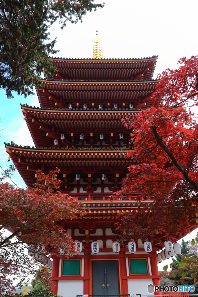 高幡不動尊