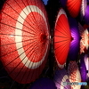昭和記念公園