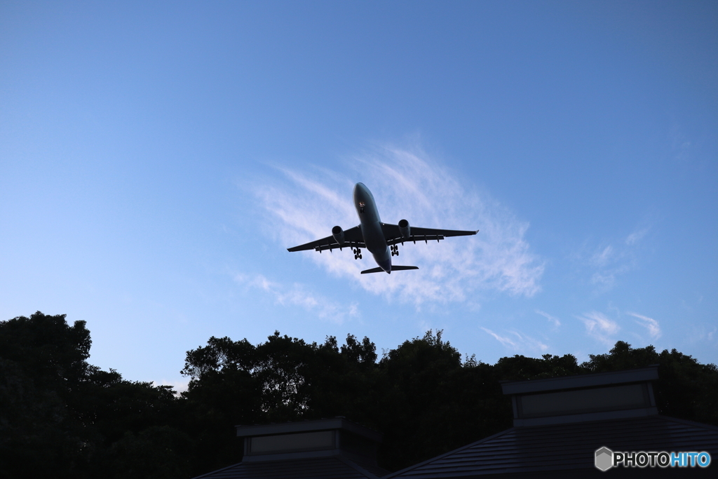 羽田空港