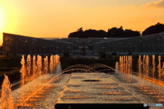 夕景