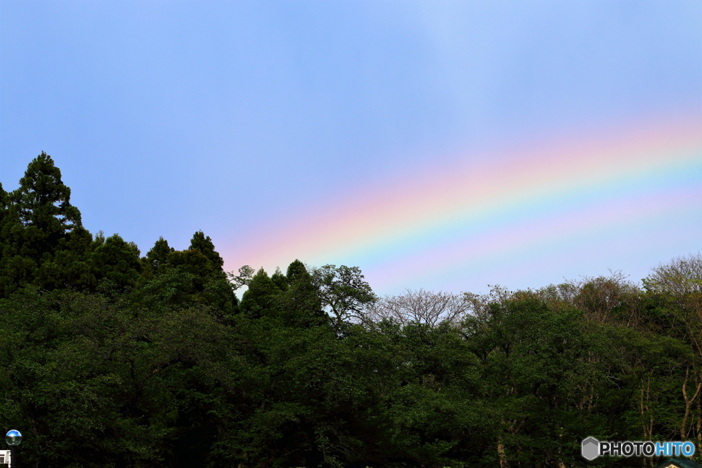 神代植物公園