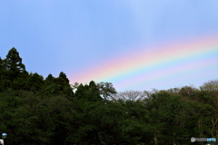 神代植物公園
