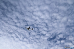 羽田空港