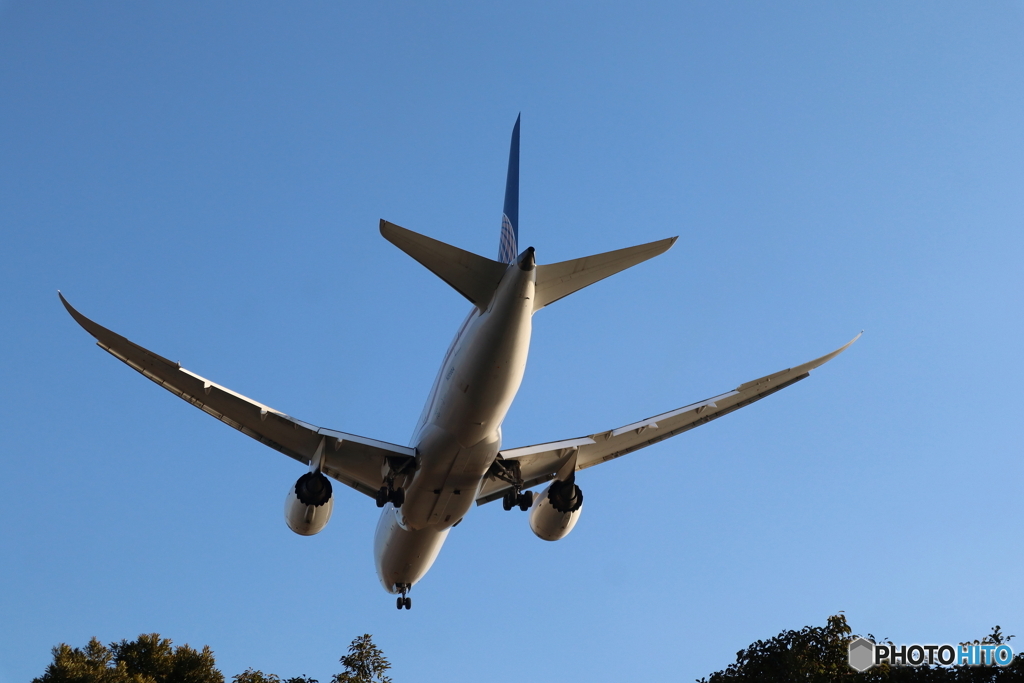 羽田空港