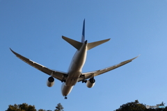 羽田空港