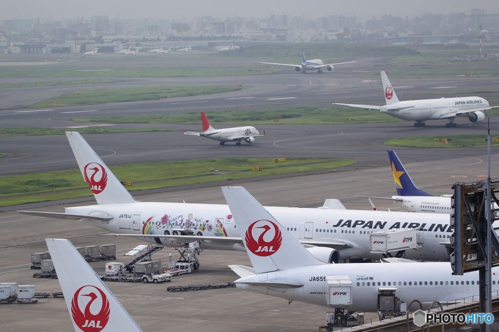 ラッピング機