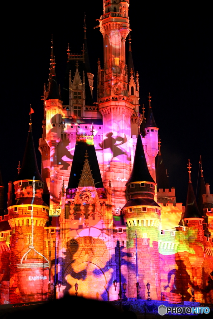 Celebrate! Tokyo Disneyland