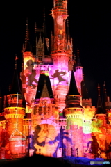Celebrate! Tokyo Disneyland