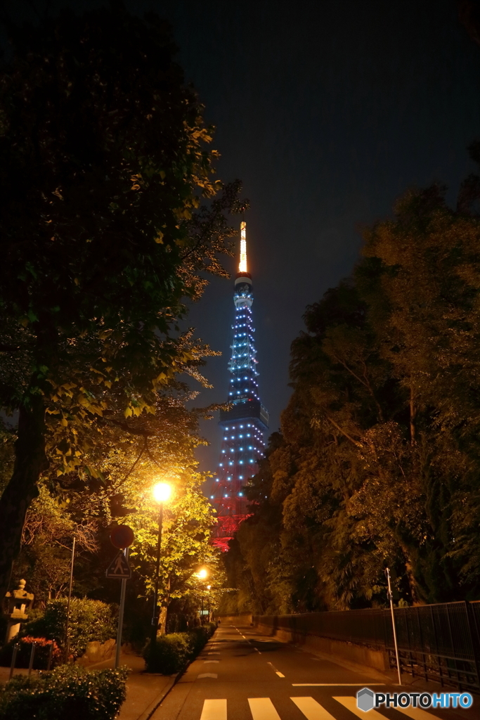 東京タワー