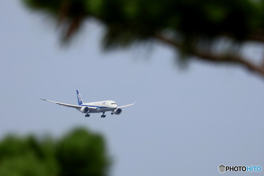 羽田空港