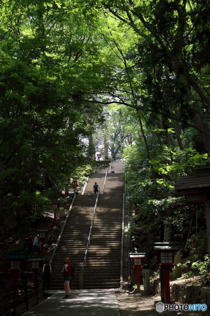 高尾山