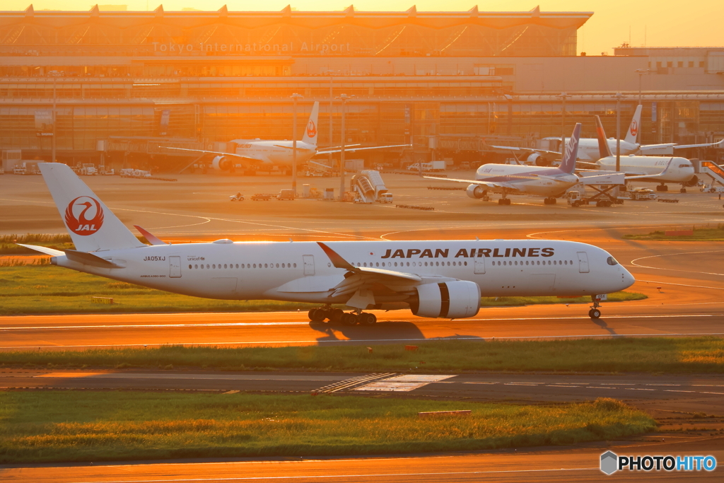 羽田空港