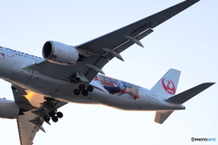 羽田空港