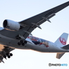 羽田空港
