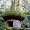 鎌倉散策