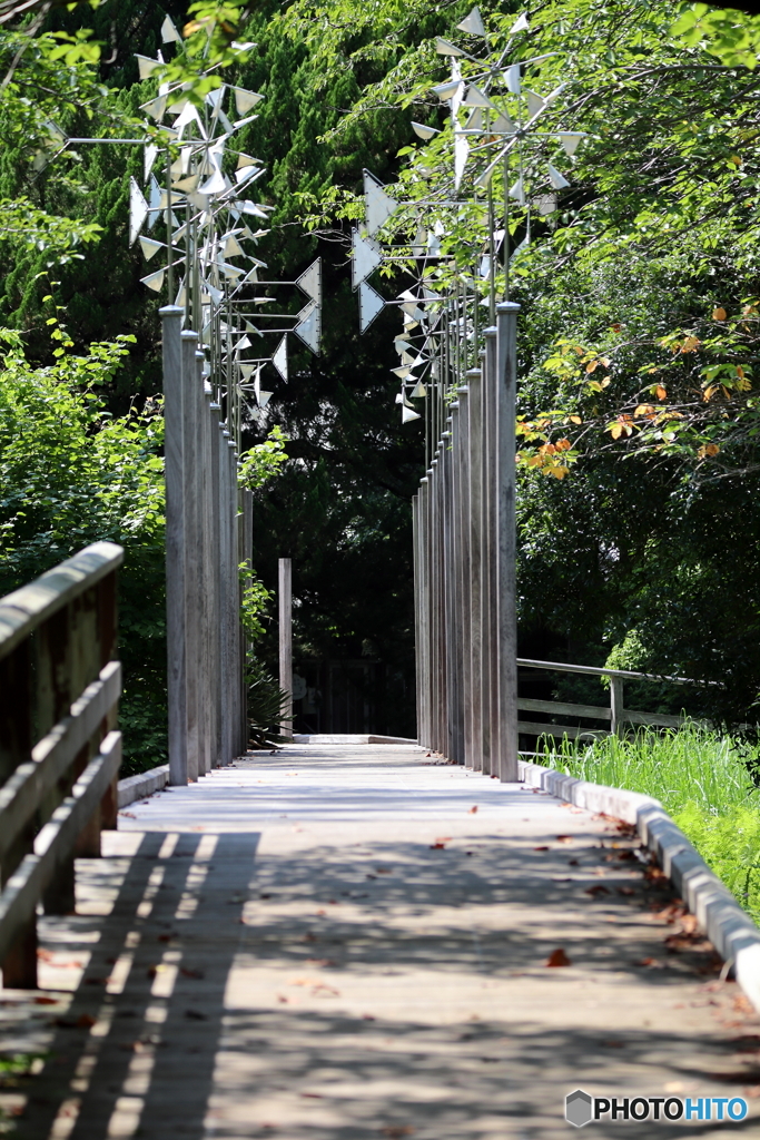 昭和記念公園