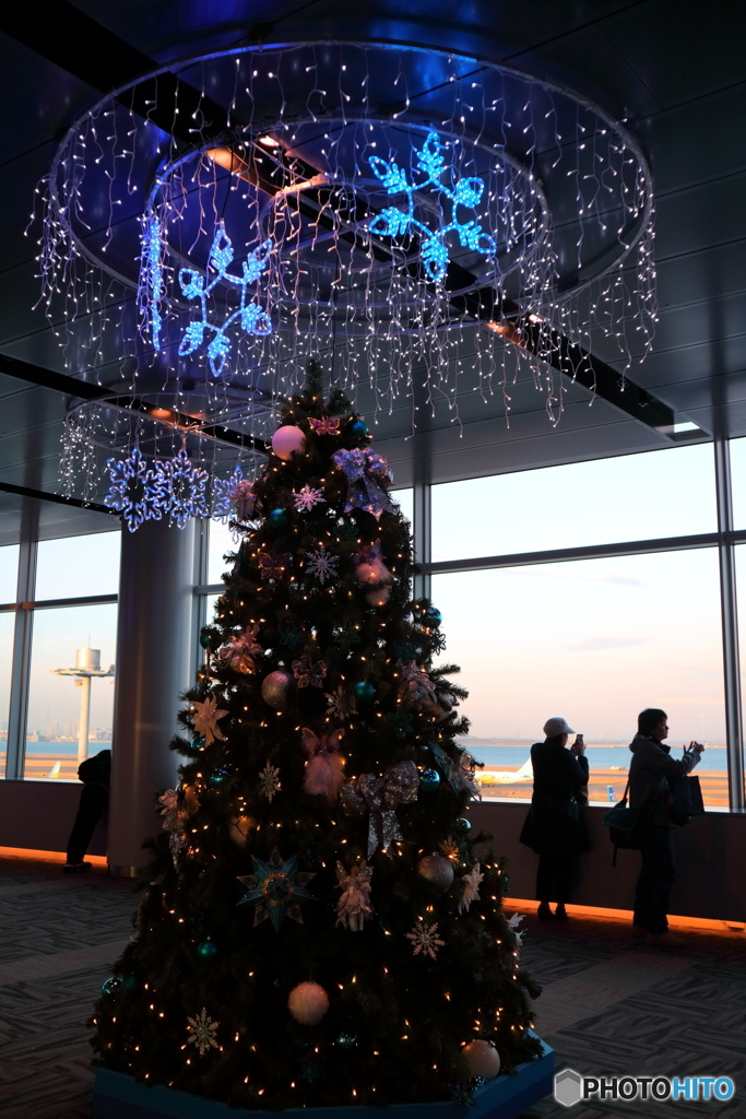 羽田のクリスマスツリー