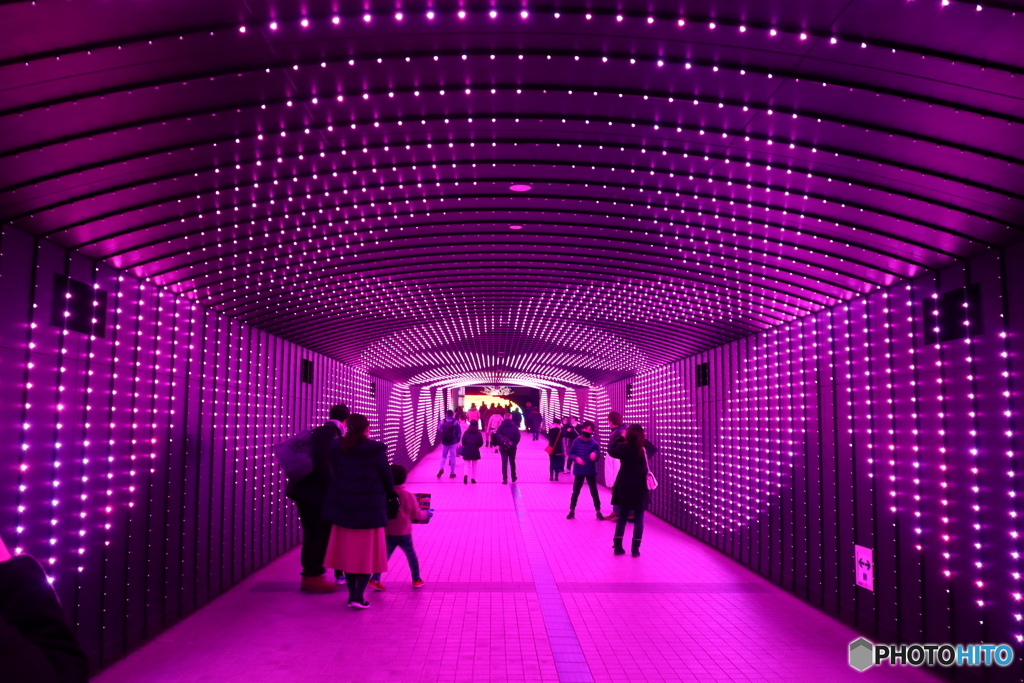東京メガイルミ