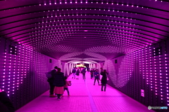 東京メガイルミ