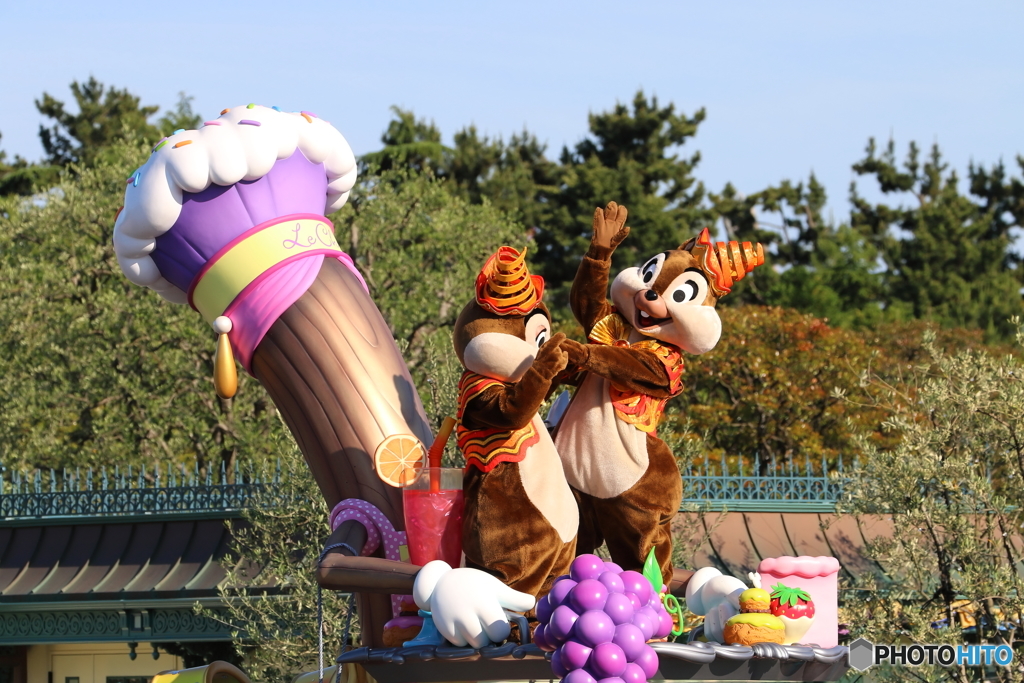 TDL