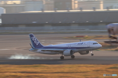 羽田空港