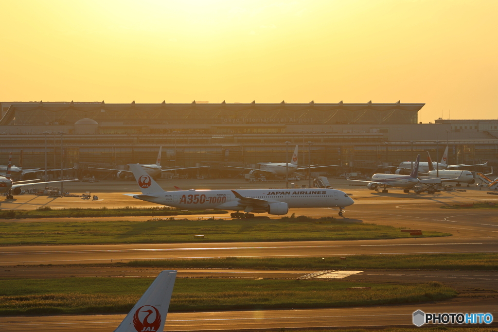 羽田空港