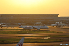 羽田空港