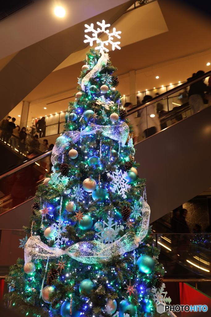 Merry Christmas!